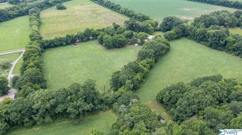 429 County Road 9, Estillfork, AL 35745 photo 10