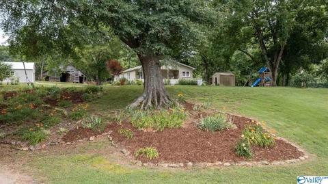 429 County Road 9, Estillfork, AL 35745 photo 24