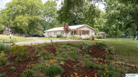 429 County Road 9, Estillfork, AL 35745 photo 23