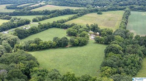 429 County Road 9, Estillfork, AL 35745 photo 6