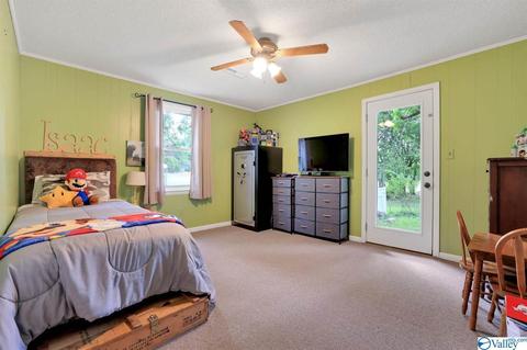 429 County Road 9, Estillfork, AL 35745 photo 41