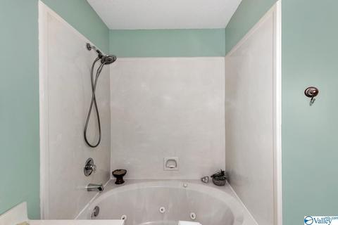 204 Declaration Cir, Madison, AL 35758 photo 12