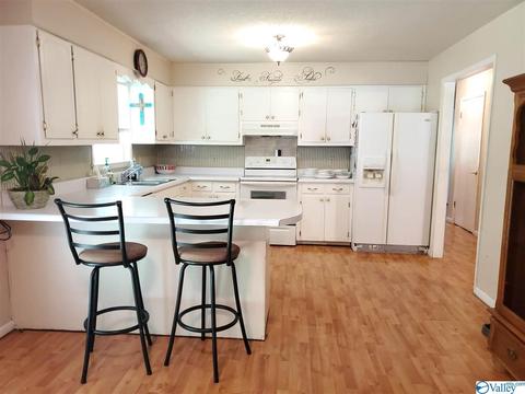 171 Alpine St, Hamilton, AL 35570 photo 3