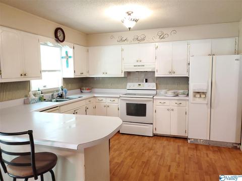 171 Alpine St, Hamilton, AL 35570 photo 2