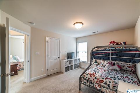 152 Fields Pond Dr, Madison, AL 35756 photo 20