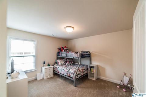 152 Fields Pond Dr, Madison, AL 35756 photo 19