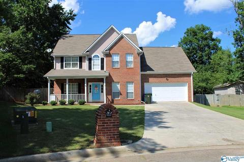 202 Cornwall Cir, Madison, AL 35757 photo 28