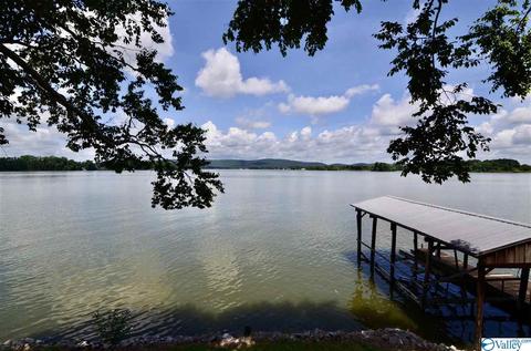 1578 Leota Rd, Southside, AL 35907 photo 18