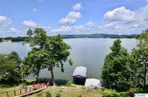 1578 Leota Rd, Southside, AL 35907 photo 17