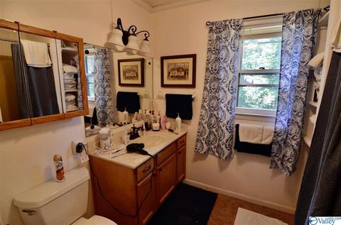 1578 Leota Rd, Southside, AL 35907 photo 14
