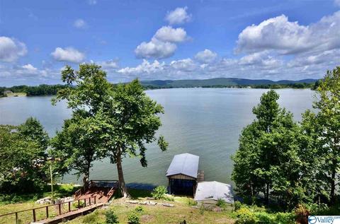 1578 Leota Rd, Southside, AL 35907 photo 2