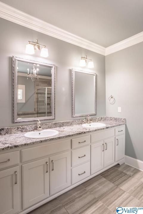 113 Appleton Ln, Madison, AL 35756 photo 18