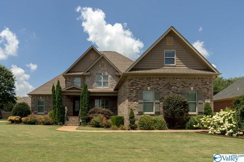 113 Appleton Ln, Madison, AL 35756 photo 2