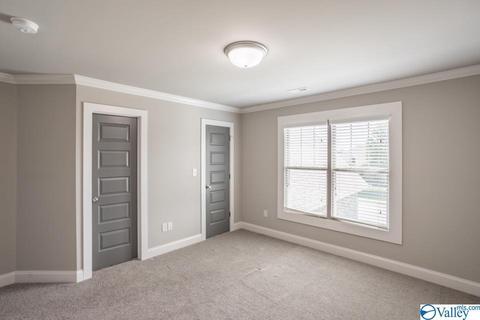 113 Appleton Ln, Madison, AL 35756 photo 20