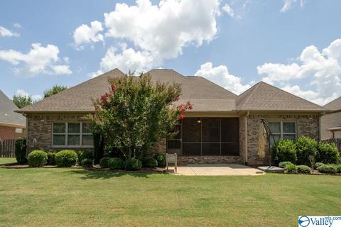 113 Appleton Ln, Madison, AL 35756 photo 28