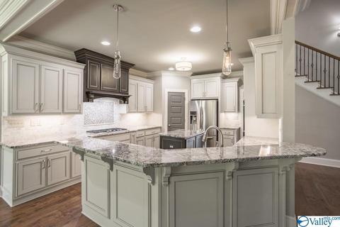 113 Appleton Ln, Madison, AL 35756 photo 11