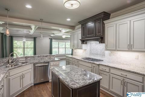 113 Appleton Ln, Madison, AL 35756 photo 12