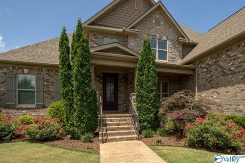 113 Appleton Ln, Madison, AL 35756 photo 3
