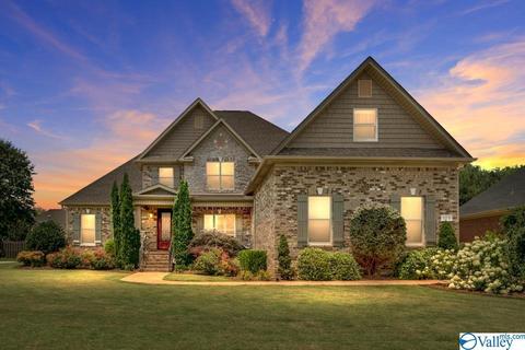 113 Appleton Ln, Madison, AL 35756 photo 1