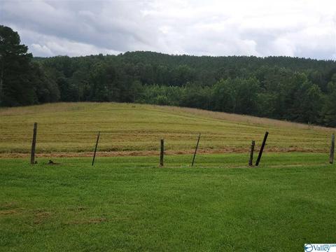 1689 Sentry Rd, Hamilton, AL 35570 photo 15