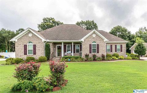 109 Executive Dr, Arab, AL 35016 photo 1