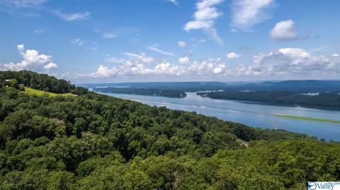1305 Scenic Dr, Section, AL 35771 photo 3