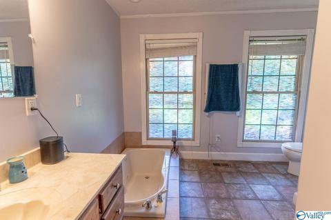 1305 Scenic Dr, Section, AL 35771 photo 35