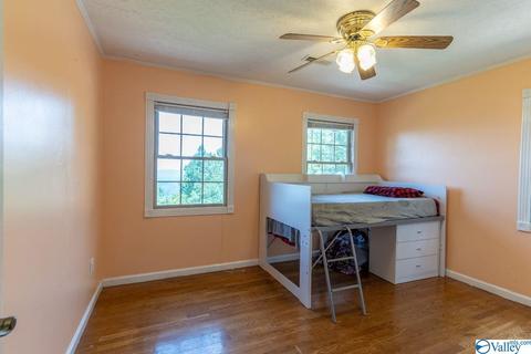 1305 Scenic Dr, Section, AL 35771 photo 44