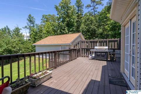 1305 Scenic Dr, Section, AL 35771 photo 16