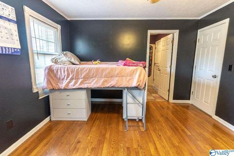 1305 Scenic Dr, Section, AL 35771 photo 39
