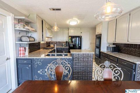 1305 Scenic Dr, Section, AL 35771 photo 26