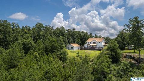1305 Scenic Dr, Section, AL 35771 photo 11