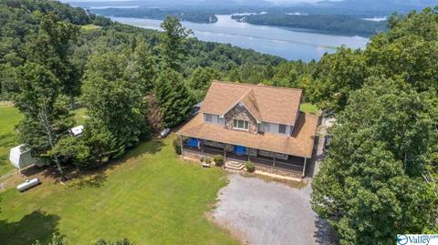 1305 Scenic Dr, Section, AL 35771 photo 13