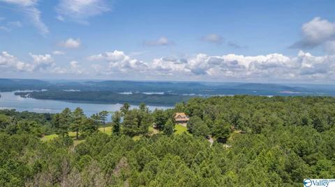 1305 Scenic Dr, Section, AL 35771 photo 15