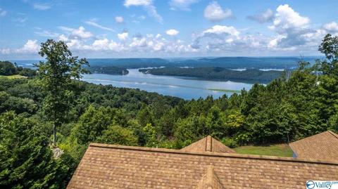 1305 Scenic Dr, Section, AL 35771 photo 6