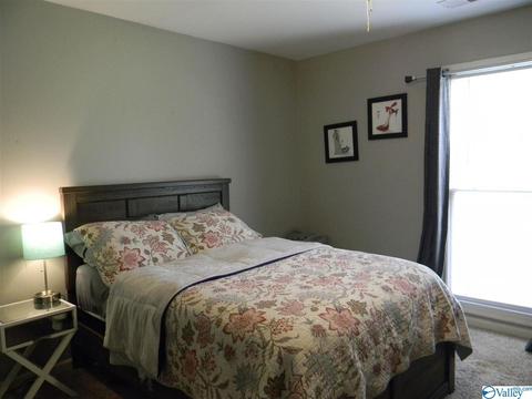 124 Dee Ann Rd, Trinity, AL 35673 photo 21