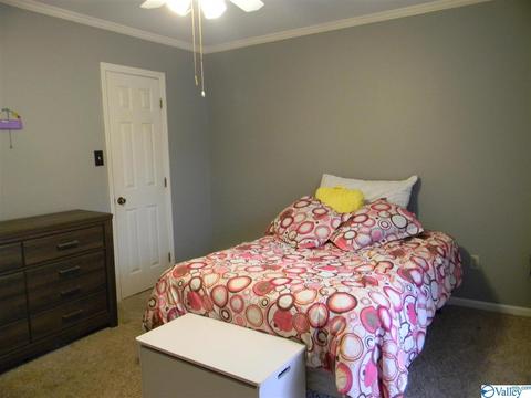 124 Dee Ann Rd, Trinity, AL 35673 photo 23