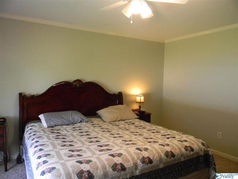 124 Dee Ann Rd, Trinity, AL 35673 photo 9