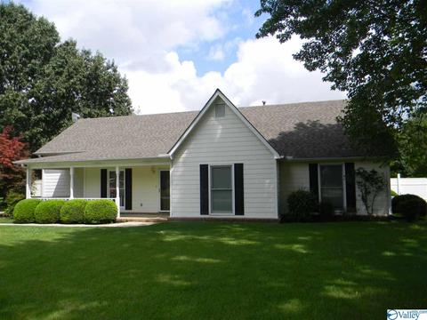 124 Dee Ann Rd, Trinity, AL 35673 photo 1
