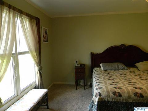 124 Dee Ann Rd, Trinity, AL 35673 photo 18