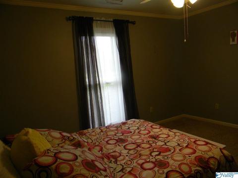 124 Dee Ann Rd, Trinity, AL 35673 photo 24
