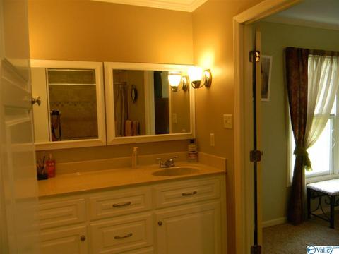 124 Dee Ann Rd, Trinity, AL 35673 photo 12
