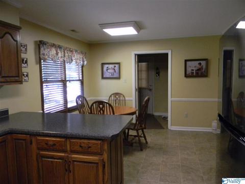 124 Dee Ann Rd, Trinity, AL 35673 photo 29