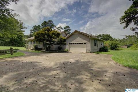 45 Elmore Dr, Arab, AL 35016 photo 22