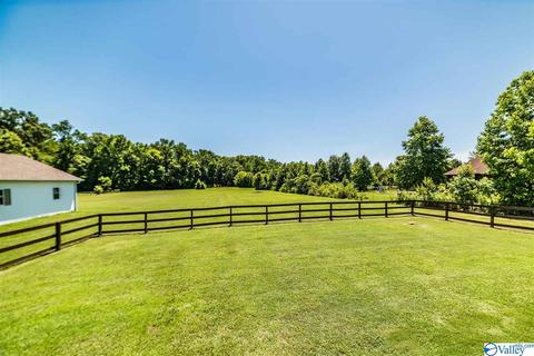 19410 Sharp Rd, Athens, AL 35613 photo 45