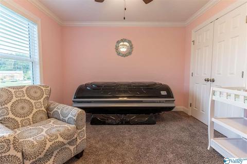 80 Emery Cir, Section, AL 35771 photo 19