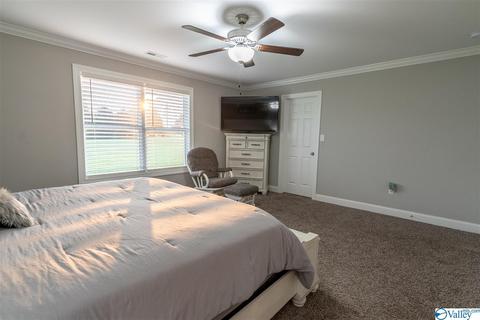 80 Emery Cir, Section, AL 35771 photo 23