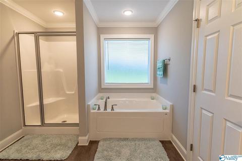 80 Emery Cir, Section, AL 35771 photo 21