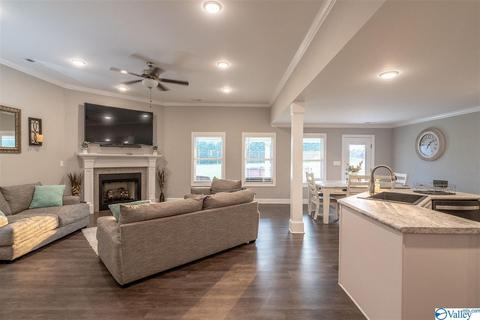 80 Emery Cir, Section, AL 35771 photo 11