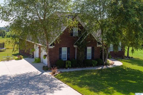 227 Payton Ln, Grant, AL 35747 photo 44